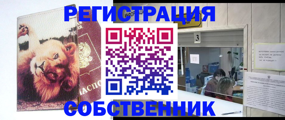 прописка поиск в Мирном